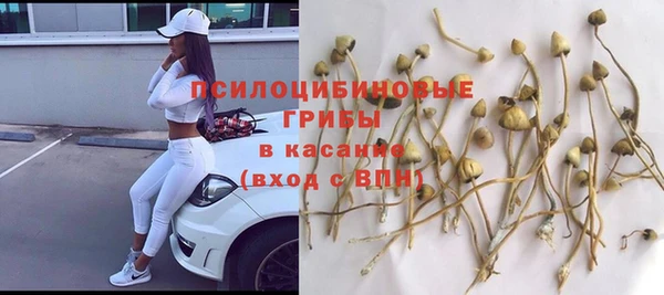 бошки Вязьма