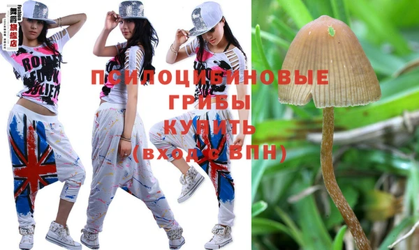 таблы Вязники